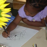 Children Draw: A Guide to Why, When by Goodman, Marilyn JS